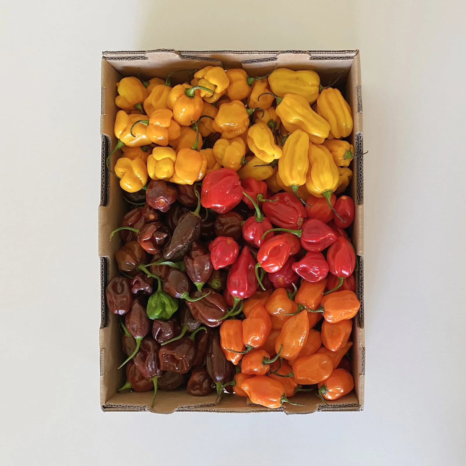 Mixed Chilli - Frozen Pods - 3kg box - Image 3